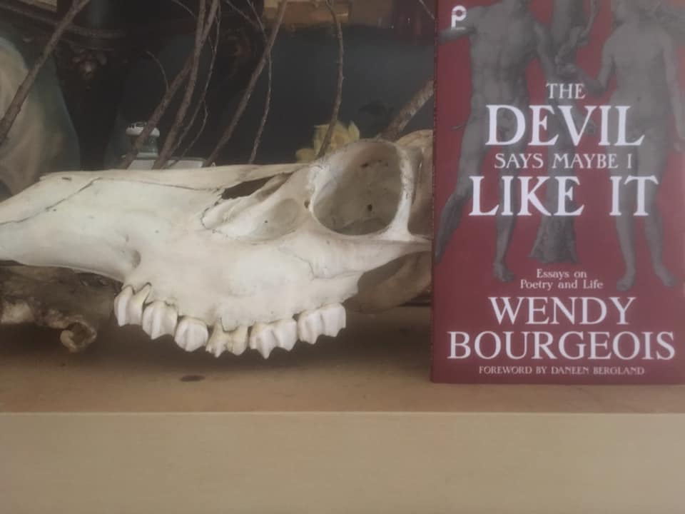 The Devil Says Maybe I Like It